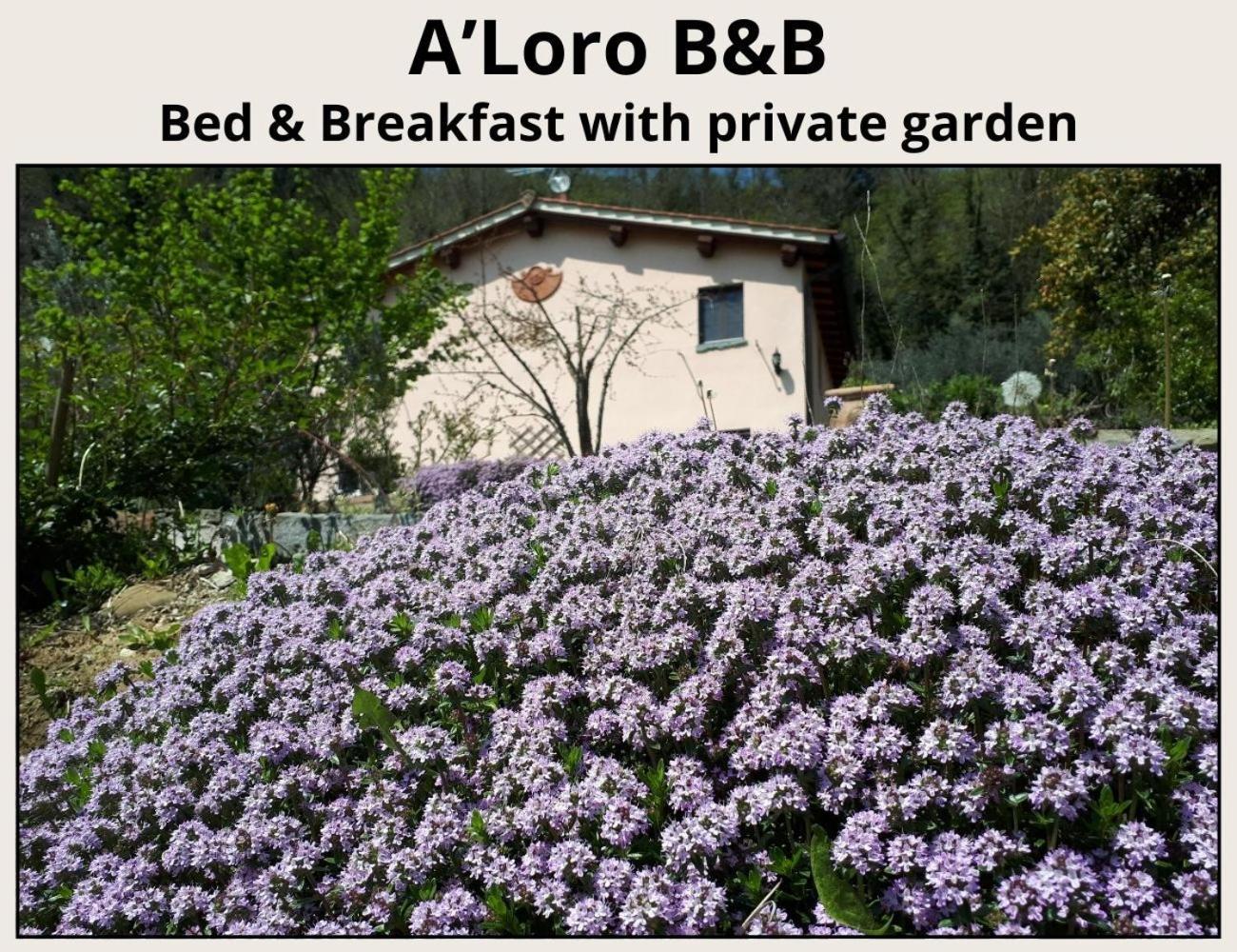 تيرانووفا براتشولي A'Loro B&B المظهر الخارجي الصورة